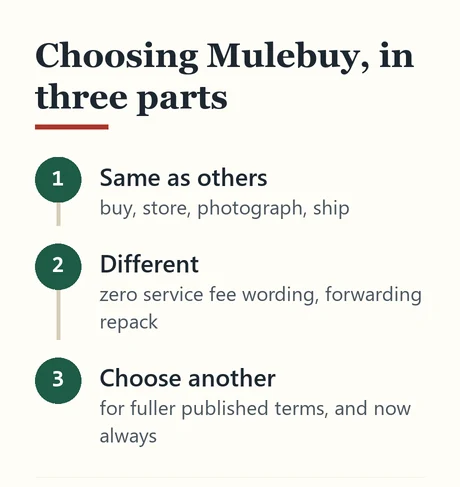 Three steps explaining what Mulebuy shared with other agents, what differed and when to choose another